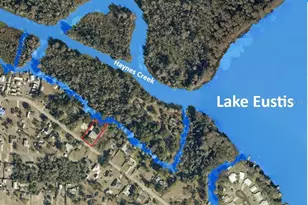 11813 Ocklawaha Dr, Leesburg, FL 34788 - Photo 2