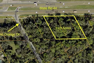 0 State Rd 44, New Smyrna Beach, FL 32168 - Photo 1