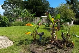 134 W Connecticut, Edgewater, FL 32132 - Photo 4