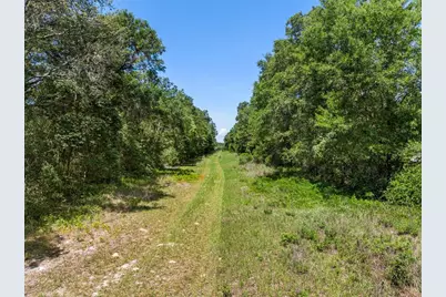 Lot 1 Hojin Street, Sorrento, FL 32776 - Photo 24