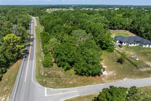 Lot 1 Hojin St, Sorrento, FL 32776 - Photo 1