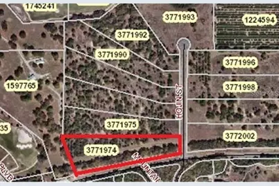 Lot 1 Hojin Street, Sorrento, FL 32776 - Photo 26