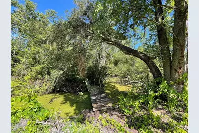 16415 Bearle Road, Orlando, FL 32828 - Photo 12