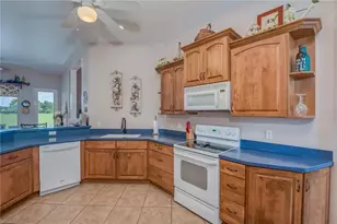 5851 Effie Dr, Apopka, FL 32712 - Photo 12