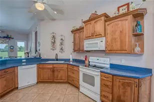 5851 Effie Dr, Apopka, FL 32712 - Photo 12