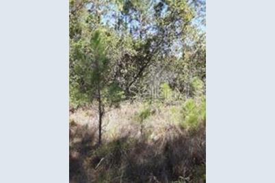 Salyers Road, Clermont, FL 34714 - Photo 6