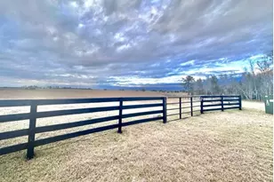 8896 NW 21st St, Wildwood, FL 34785 - Photo 1