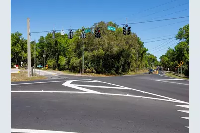 Niles Street, Mount Plymouth, FL 32776 - Photo 2