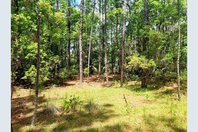 Tbd Tropical Drive, Eustis, FL 32726 - Photo 20