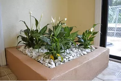 [Address not provided], Orlando, FL 32806 - Photo 16