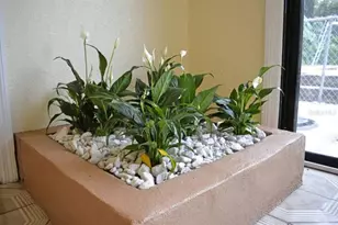 [Address not provided], Orlando, FL 32806 - Photo 16