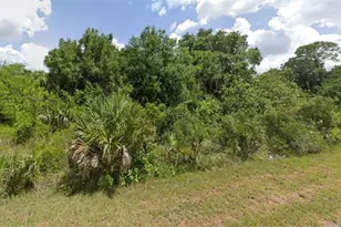 Blackwood Circle, North Port, FL 34288 - Photo 1