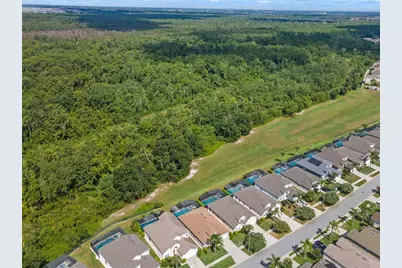 8155 Sun Palm Drive, Kissimmee, FL 34747 - Photo 48