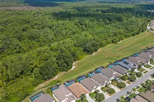 8155 Sun Palm Dr, Kissimmee, FL 34747 - Photo 48