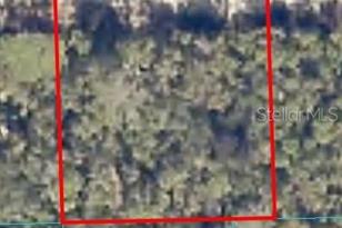 0 NE 233rd Ln, Fort Mc Coy, FL 32134 - Photo 1