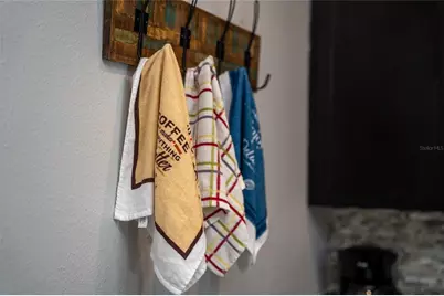 4803 Brier Rose Lane, Kissimmee, FL 34746 - Photo 44