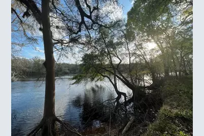 1263 NW 82nd Terrace, Bell, FL 32619 - Photo 2