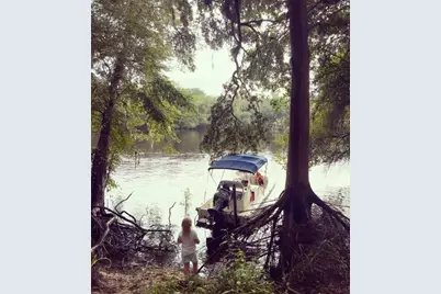 1263 NW 82nd Terrace, Bell, FL 32619 - Photo 4