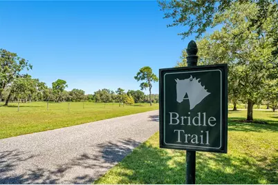 26000 Splendid Meadow Court, Astatula, FL 34705 - Photo 4