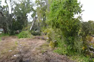 0 Chuluota Rd, Oviedo, FL 32765 - Photo 6
