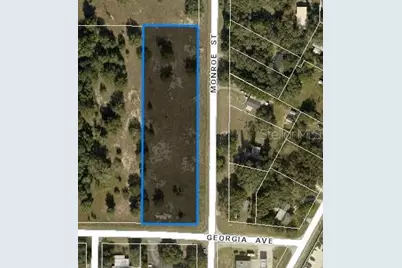 Tbd Monroe St & Georgia Ave, Astatula, FL 34705 - Photo 1