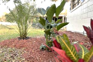 6430 Summit Dr - Photo 30