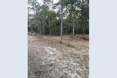 Tbd NE 11th Street S, Williston, FL 32696 - Photo 6