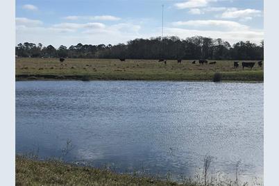 4918 N Fort Christmas Road, Christmas, FL 32709 - Photo 4