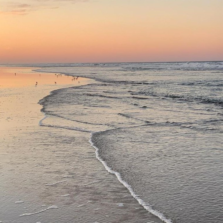 3501 Atlantic Ave, Daytona Beach FL  32118-7600 exterior