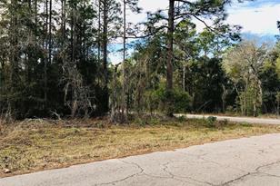 Tbd NE 15th St, Williston, FL 32696 - Photo 1