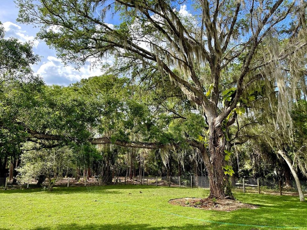 2851 Perch Rd, Geneva, FL 32732