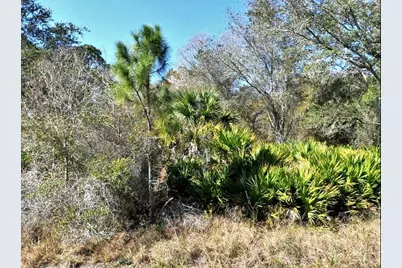 Norton Drive, North Port, FL 34288 - Photo 2