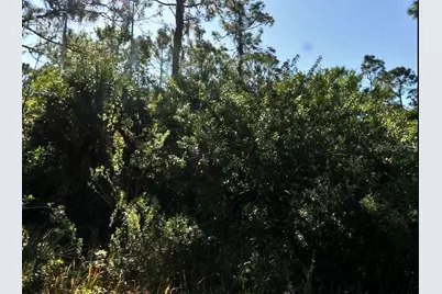 Pinklady Lane, North Port, FL 34288 - Photo 2