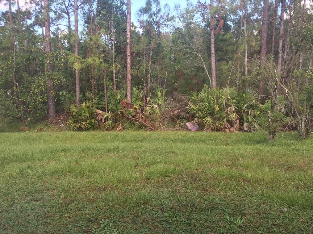 10113 Granite Bay Dr, Orlando, FL 32832