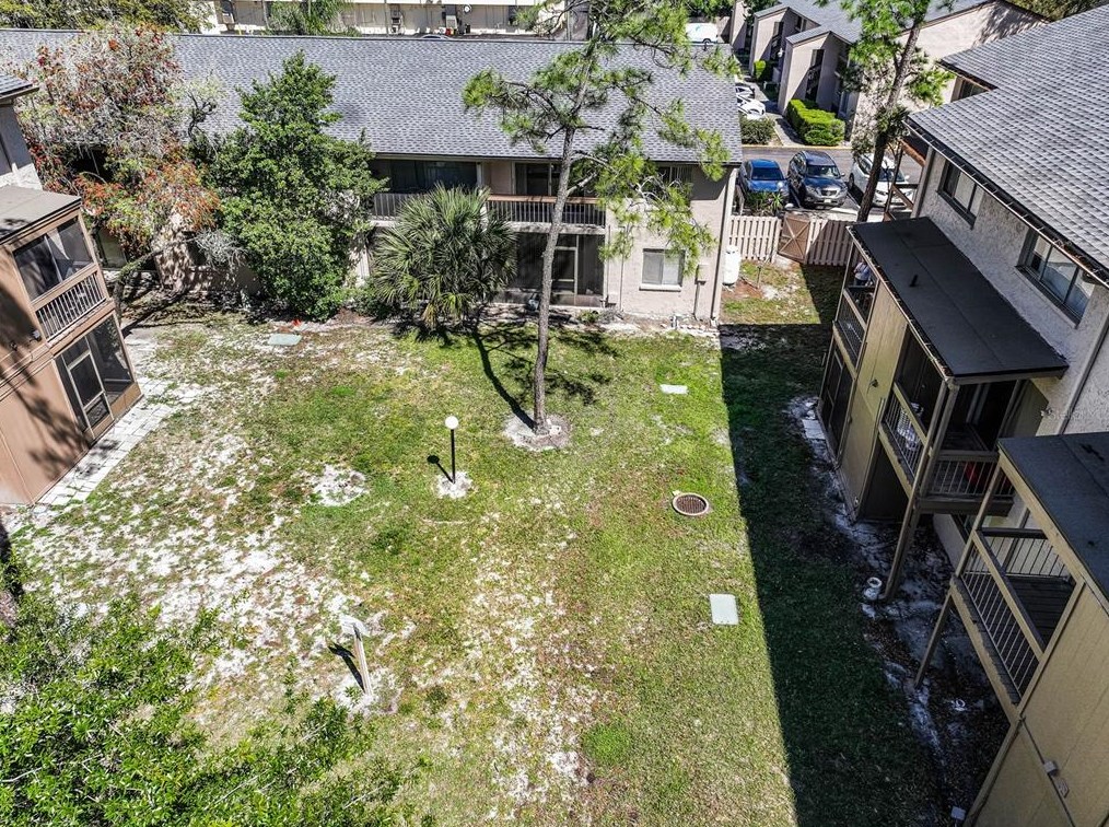 7531 Pitch Pine Cir, Tampa FL 33617-8541 exterior