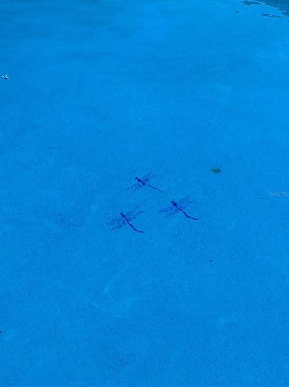 5327 Lanyard Ct, Winter Park FL  32792-9234 exterior