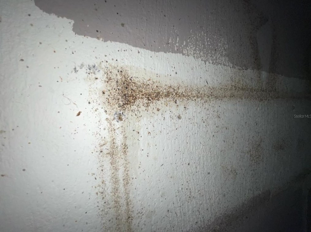 824 Mulberry St, Daytona Beach FL 32114-2172 exterior