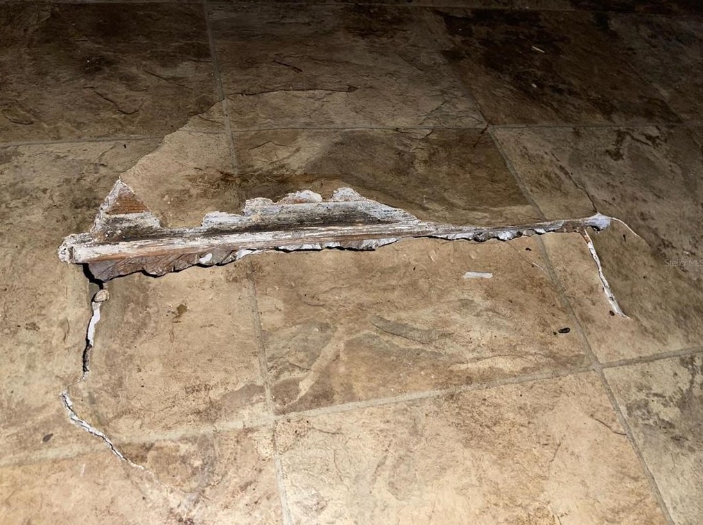 824 Mulberry St, Daytona Beach FL 32114-2172 exterior