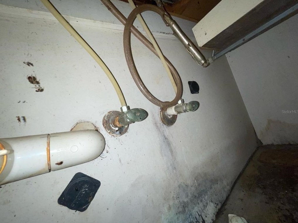 824 Mulberry St, Daytona Beach FL 32114-2172 exterior