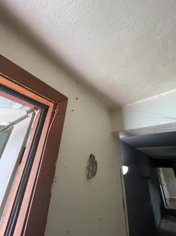 824 Mulberry St, Daytona Beach FL 32114-2172 exterior