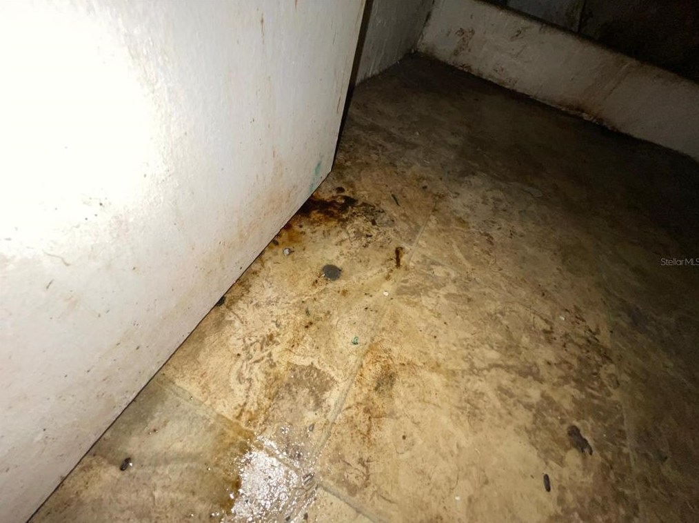 824 Mulberry St, Daytona Beach FL 32114-2172 exterior