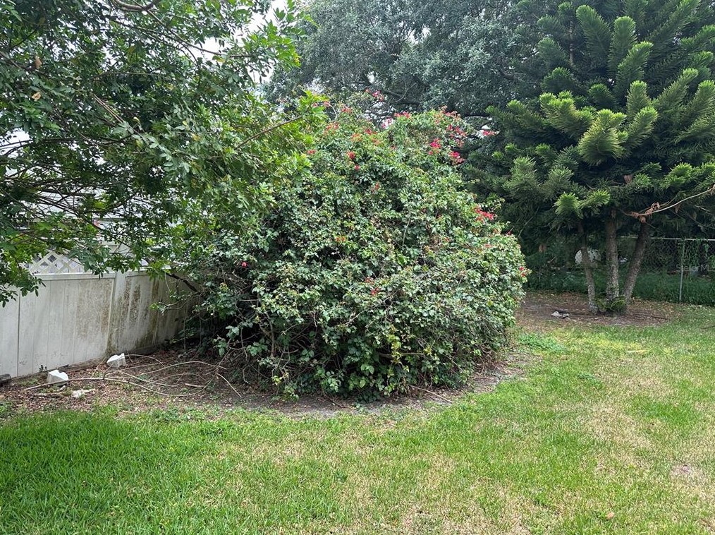 2105 Messina Ave, Orlando FL 32811-5534 exterior