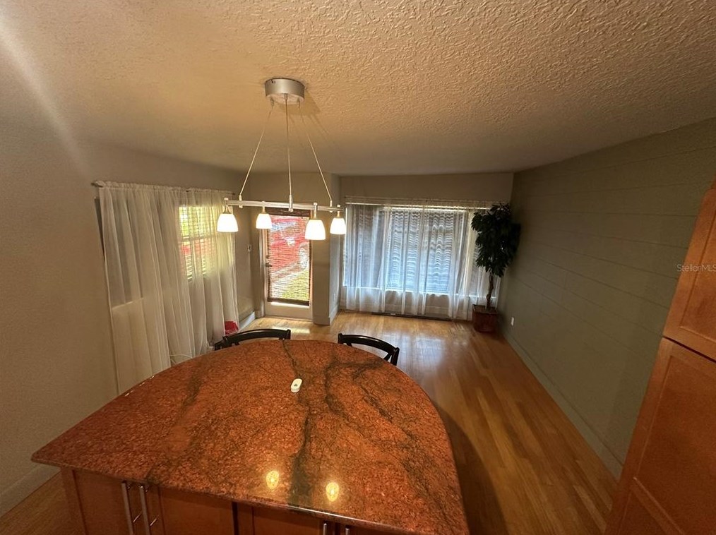 1517 Lawsona Ct, Orlando, FL 32801-3120