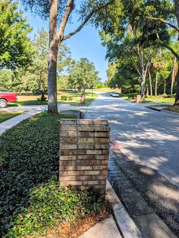 872 White Ivey Ct, Apopka, FL 32712-3310