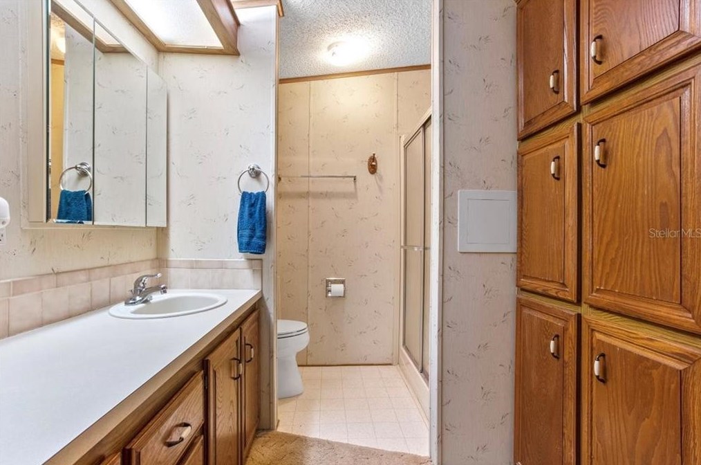 35939 Tanda Cir, Zephyrhills FL exterior