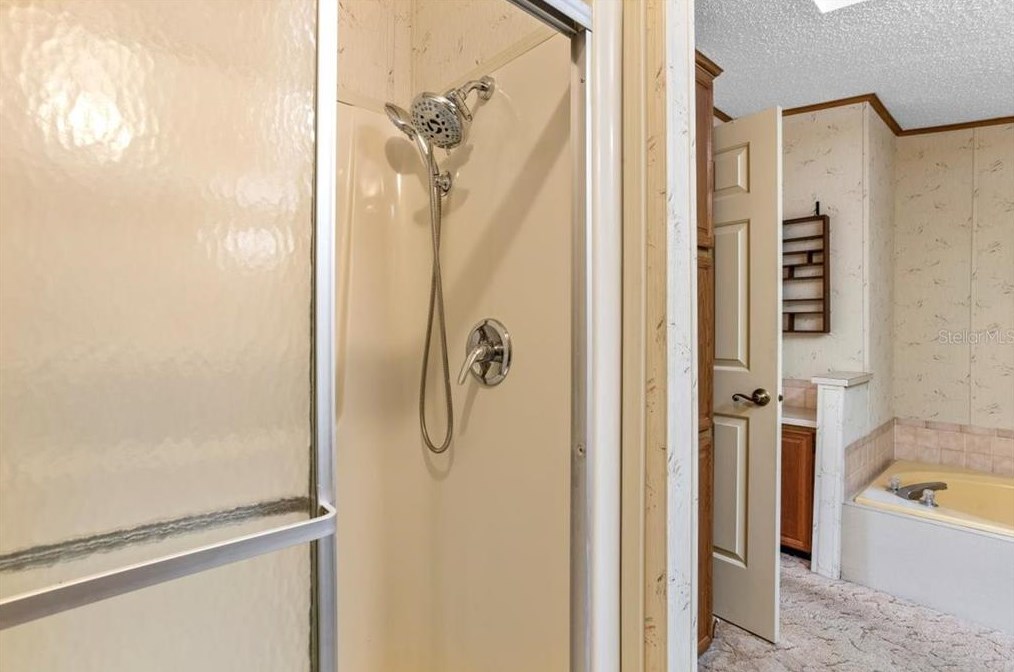 35939 Tanda Cir, Zephyrhills FL exterior