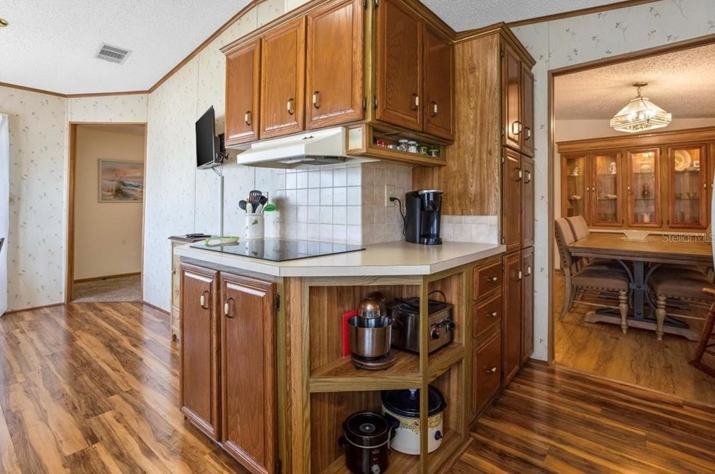 35939 Tanda Cir, Zephyrhills FL exterior