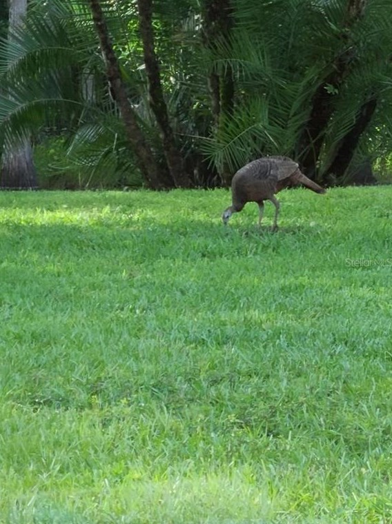 2665 Zuni Rd, Saint Cloud FL  34771-7990 exterior