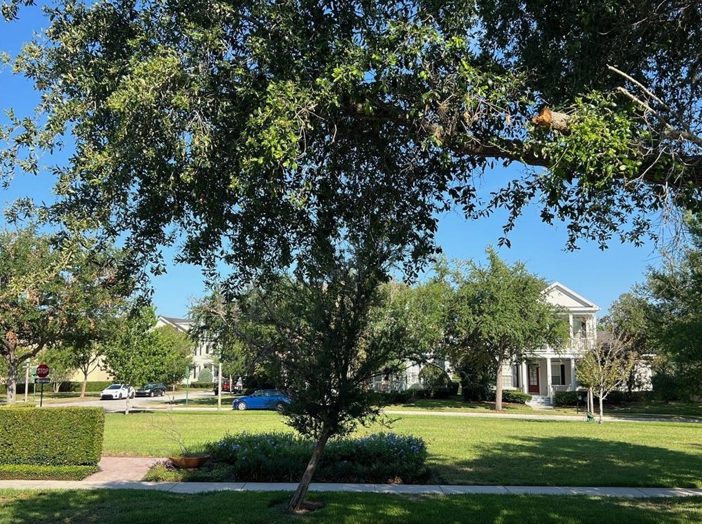 1407 Craftsman Ave, Kissimmee FL 34747-0040 exterior