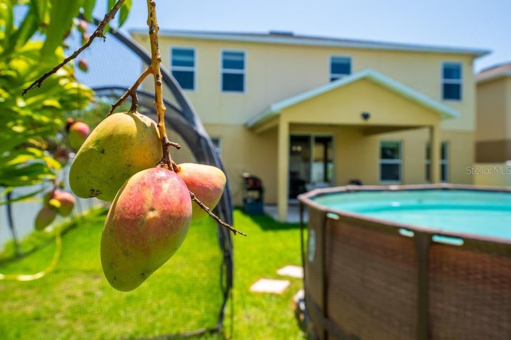 2000 Nations Way, Saint Cloud FL  34769-1821 exterior